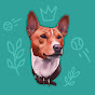 Argo the Basenji