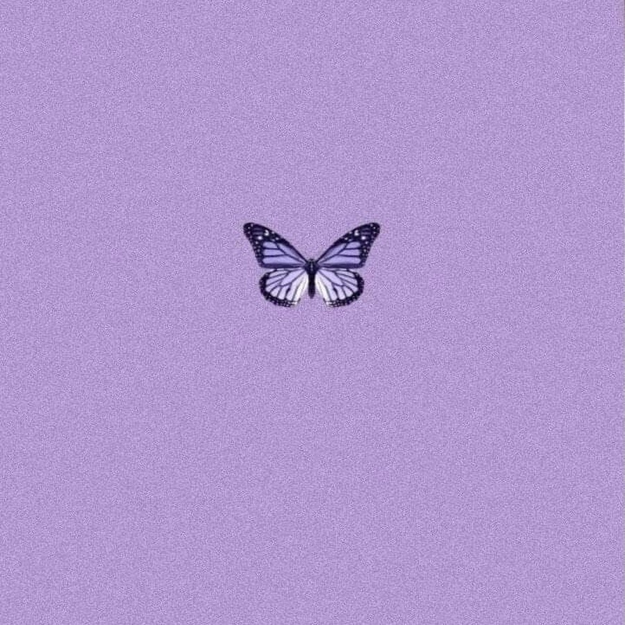 Фиолетовые обои с бабочками