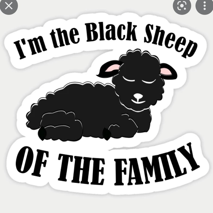 Black Sheep idiom. Black Sheep of the Family. Black Sheep.