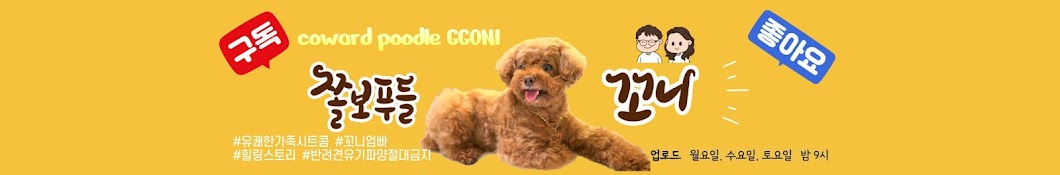 Coward Poodle GGONI