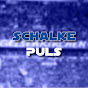 Schalke Puls