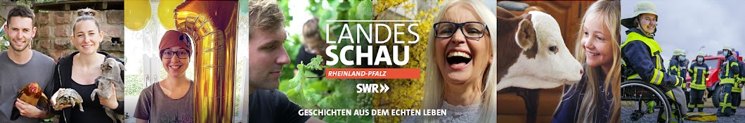 SWR Landesschau Rheinland-Pfalz Banner