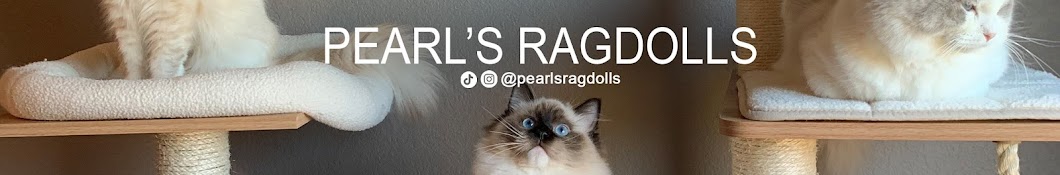 Pearl's Ragdolls Banner