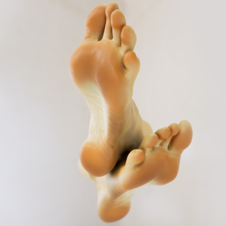 Haele 3d feet poser pro