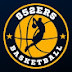 Toronto 852ers Basketball League