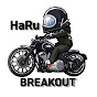 HaRu HARLEY DAVIDSON