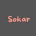 Sokar vlogs