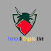 logo Forex & Crypto Live