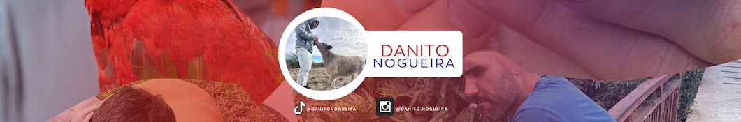 Danito Nogueira