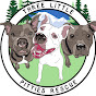 Three Little Pitties Rescue