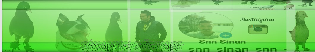 Sinan'ın Dünyası