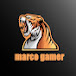 Marco    Gamar 