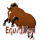 WebEquitation - Horse riding