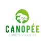 Canopée Forêts Vivantes