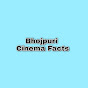Bhojpuri Cinema Facts