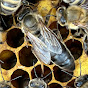 Aussie Bee Keeping