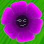 Anemonie