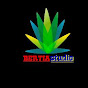 bertiaz studio