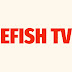 logo EFISH TV