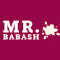 Mr. BABASH