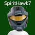 logo SpiritHawk7