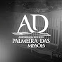 AD Palmeira das Missões