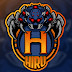 logo hirumaredx