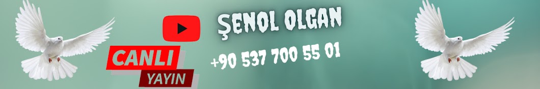 Şenol Olgan Canlı Oyun Kuşu Mezatı 