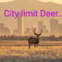 City limit Deer...trailcams