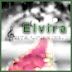 logo Elvira Productions