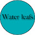 water leafs