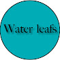 water leafs