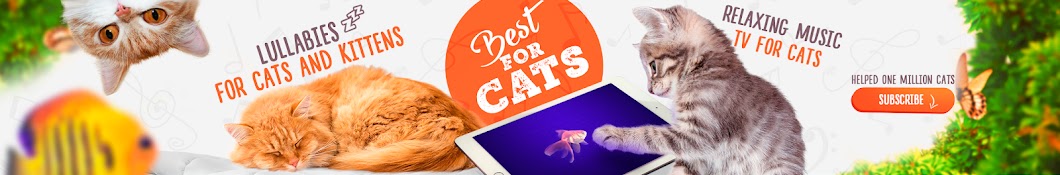 Best for Cats Banner