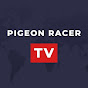 Pigeon Racer TV