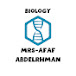 Bio - Afaf Abdelrhman