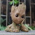 59¹¹メGROOT