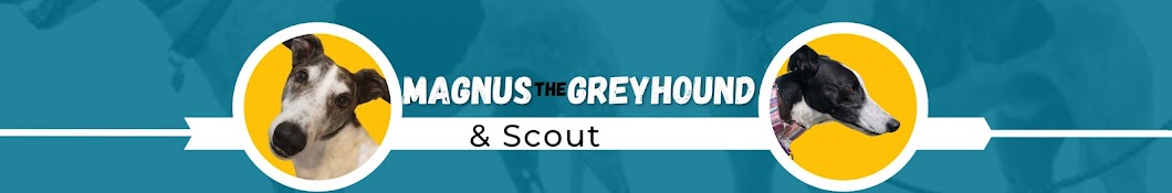 Magnus Greyhound Banner