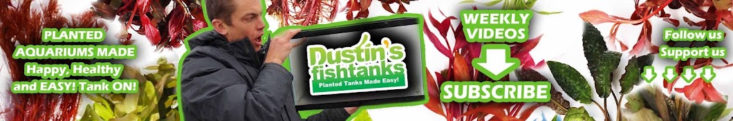 Dustin's Fish Tanks Banner