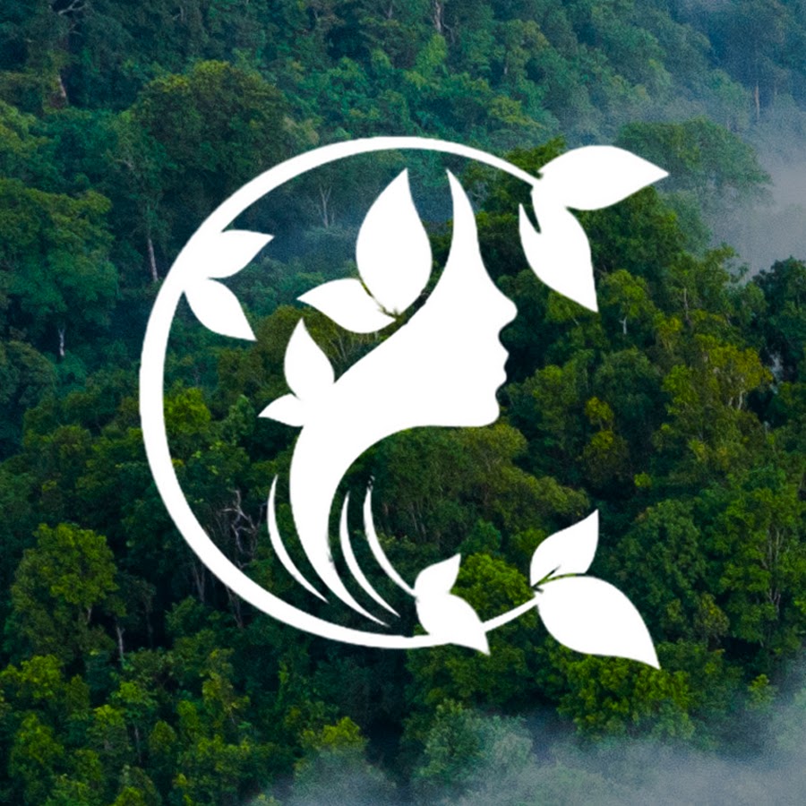 Ready go to ... https://www.youtube.com/channel/UCbtEMxhSfdRXorVMhw9FnzA [ Discovery Relaxation]
