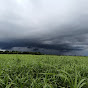 El maravilloso mundo del campo