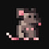 Rogue Rat