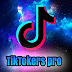 logo TikTokers Pro