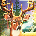 Artist Thumbnail