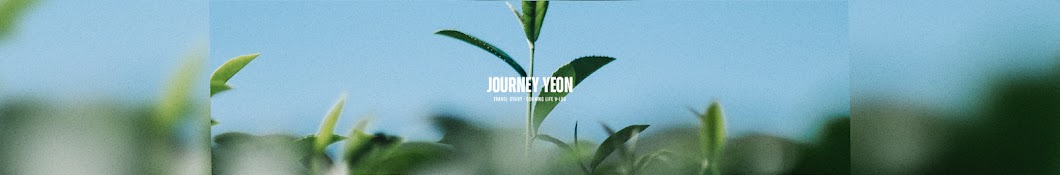 journey Yeon