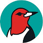 Birds Georgia
