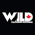 logo Wild Television Network