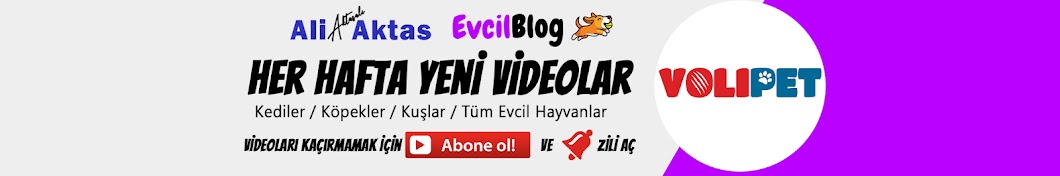 VOLİPET - Ali Aktas Banner