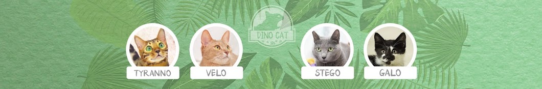 DINO CAT Banner