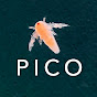 Picocosmos