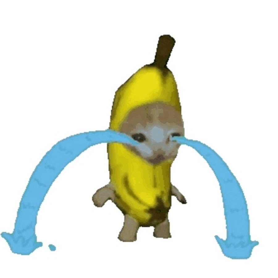 Кот в костюме банана. Кот бананчик. Кот банан Мем. Плалучший кот банан. Банан плачет мем